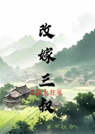 改嫁皇帝的小说